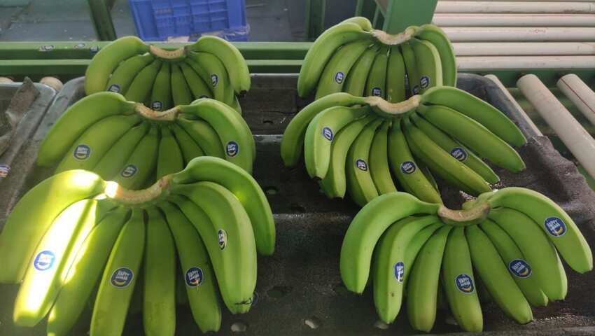 रेलवे ने लांच की ये पार्सल वैन