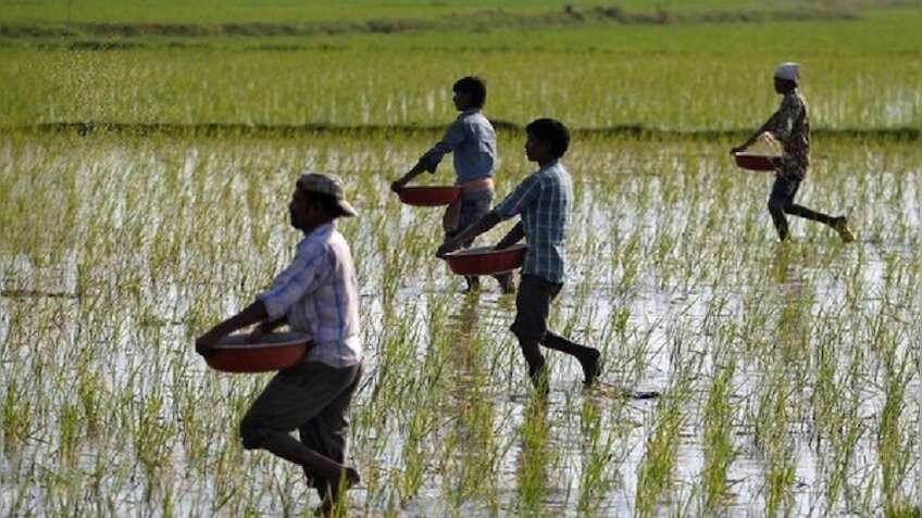 मोदी सरकार की इस योजना से किसानों की आमदनी में हो रहा है इजाफा, डबल होगी इनकम