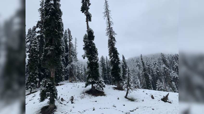 होली के पहले आने वाला है बारिश और बर्फबारी का मौसम, इस तारीख से फिर बढ़ेगी ठंड