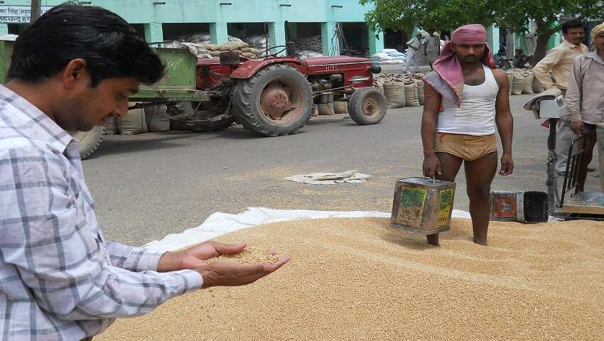 न्यूनतम समर्थन मूल्य पर गेहूं की खरीद