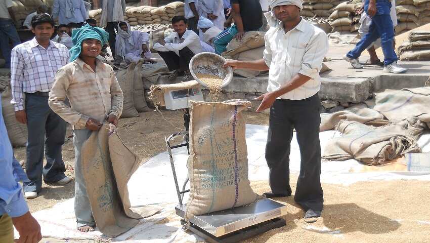 सरकारी गेहूं खरीद केंद्र