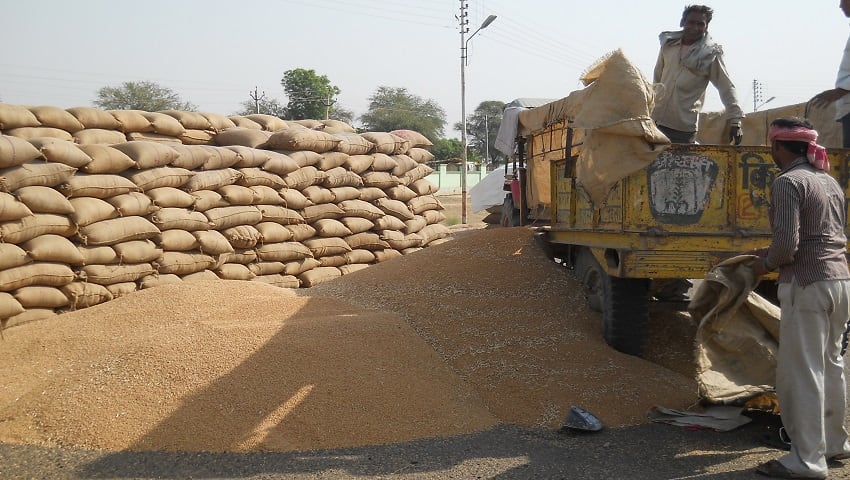 गेहूं का स्टॉक