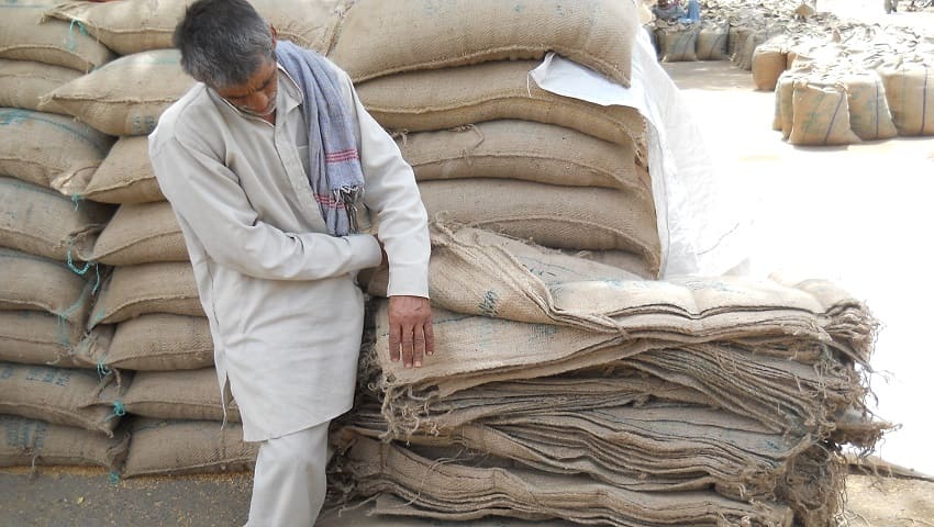 गेहूं का बारदाना