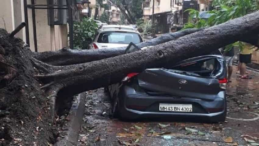 कमजोर हो गया चक्रवाती तूफान निसर्ग, लेकिन पीछे छोड़ गया तबाही के मंजर | Zee  Business Hindi