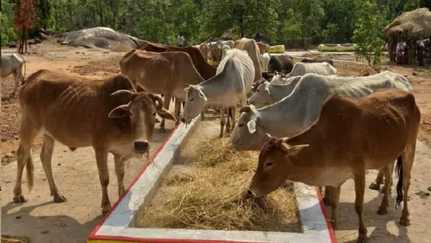 पशुपालन से दोगुनी होगी किसानों की आमदनी, गाय का गोबर भी खरीदेगी सरकार