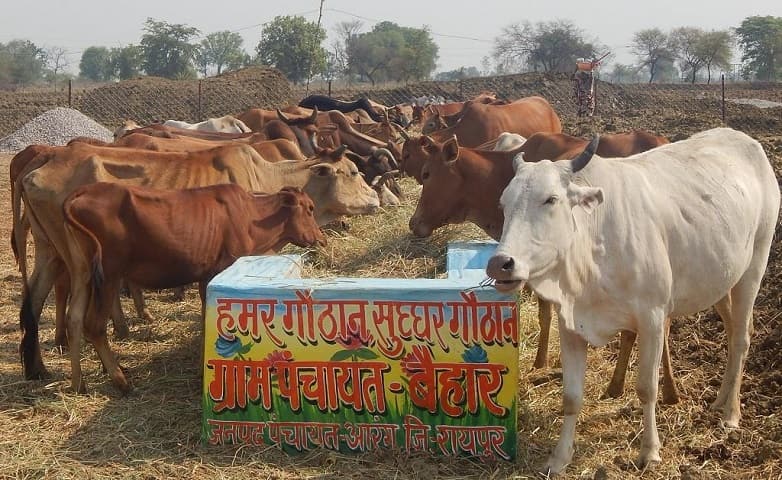 गोधन न्याय योजना