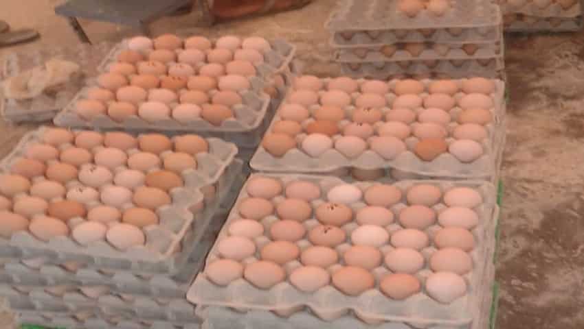 अंडे का कारोबार