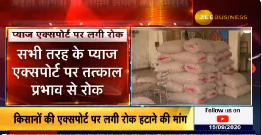 अब देश के बाहर नहीं जाएगा प्याज, सरकार ने तत्काल प्रभाव से लगाई निर्यात पर रोक...जानें वजह