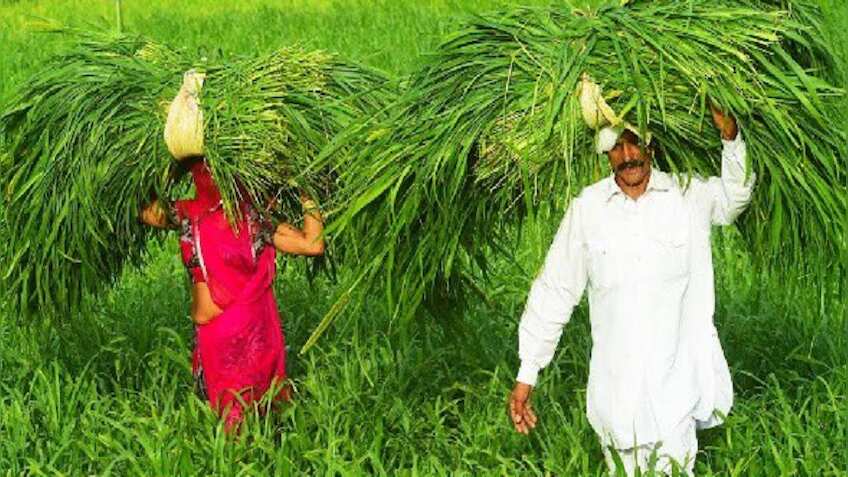 E-Peek Pahani ऐप पर मिलेगा किसानों की हर समस्या का समाधान, जानें पूरी डिटेल 