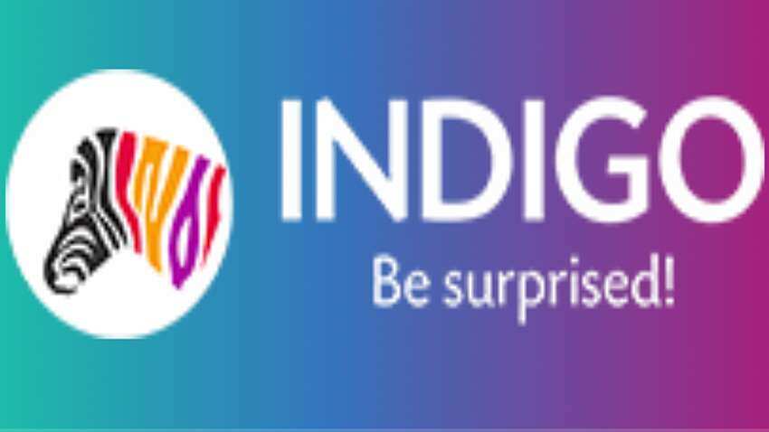 Indigo Paints Receives SEBI Approval To Float IPO – Private Equity Insider