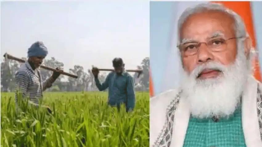 PM kisan: फॉर्म भरने में हो गई गलती, तो रुक जाएगी 2000 रुपये की किस्‍त; घर बैठे ऐसे करें करेक्ट