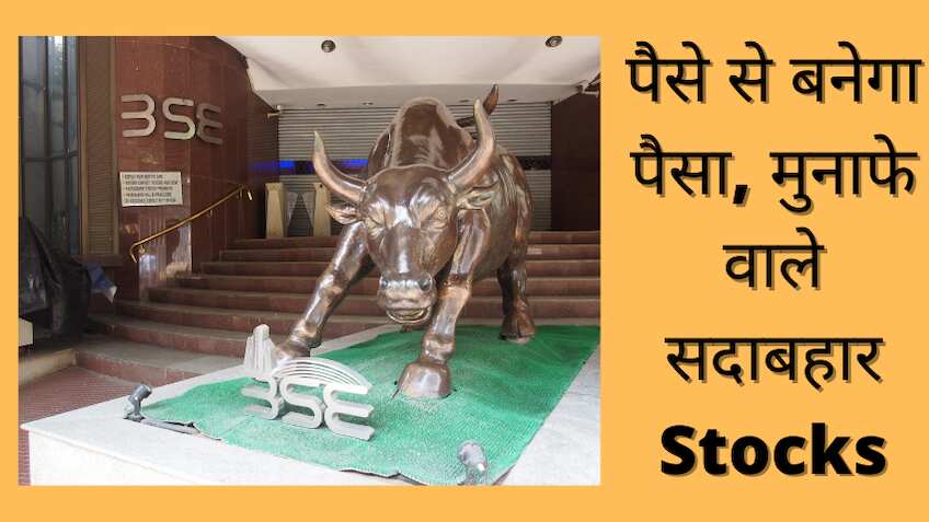 कम समय में बंपर रिटर्न दे सकते हैं ये 2 दमदार शेयर, एक्सपर्ट ने दी खरीदारी की राय 