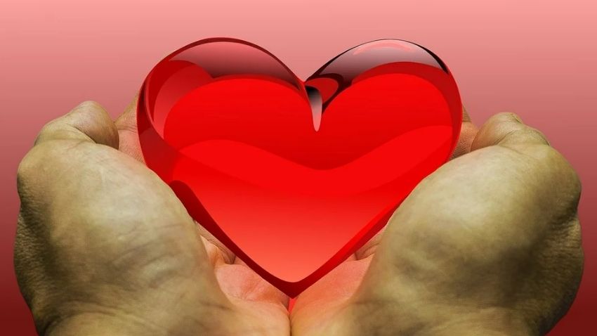 World Heart Day: दिल दा मामला है! इन बातों का रखें खयाल तो दिल भी कहेगा- दिल खुश हुआ