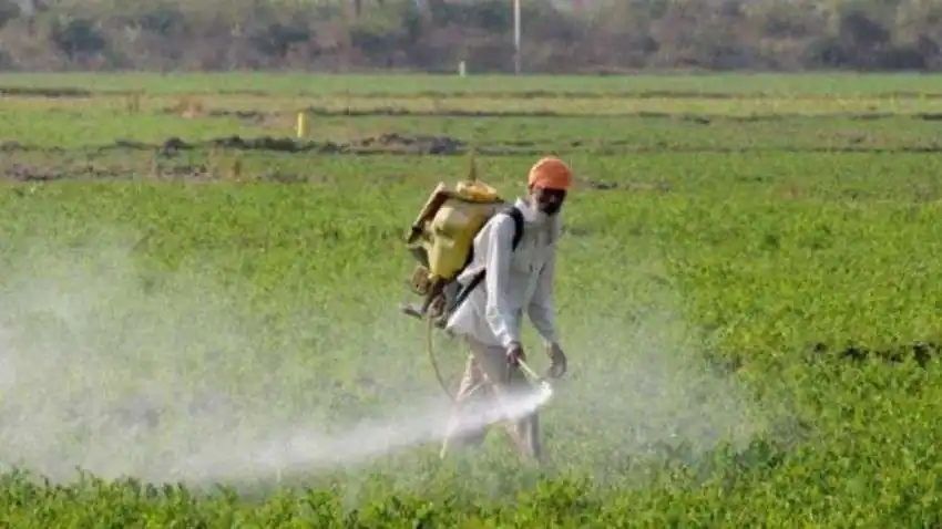 PM Kisan Yojana: इन किसानों को नहीं मिलेगी 10वीं किस्त, जानकारी देते वक्त इन बातों का रखें ध्यान