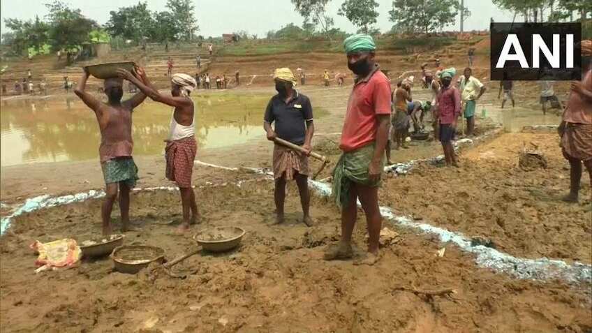 e-Shram Portal: रजिस्ट्रेशन के समय सलेक्ट कर रहे हैं 'माइग्रेंट वर्कर' का ऑप्शन, जानिए क्या है इसका मतलब