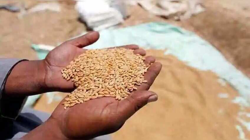Cabinet decision: अब मार्च 2022 तक मिलेगा मुफ्त अनाज, PMGKAY पर सरकार का बड़ा फैसला