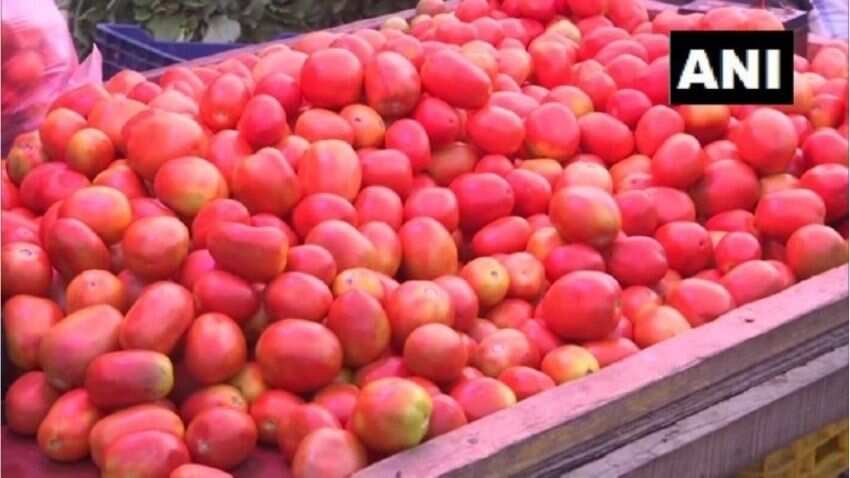 Tomato Price: दिसंबर में कम होगी टमाटर की 'खटास'? जानिए क्या कह रहे हैं ताजा आंकड़े