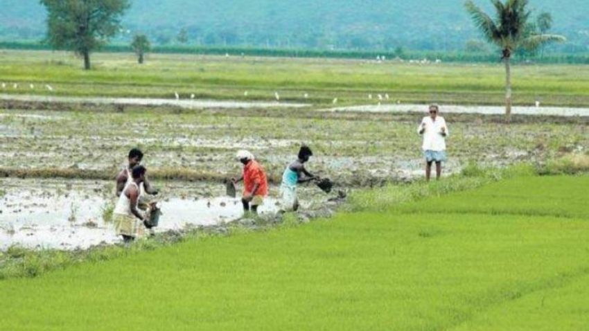 PM Kisan Yojana: इसी महीने कर लें ये काम, वरना 11वीं किस्त आने में हो सकती है दिक्कत