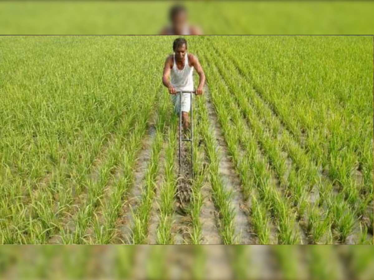 Pradhan Mantri Fasal Bima Yojana: किसानों के लिए बड़ी खबर! अपने फसल की  सुरक्षा के लिए PMFBY में कराएं रजिस्ट्रेशन, 31 जुलाई तक है अंतिम मौका | Zee  Business Hindi