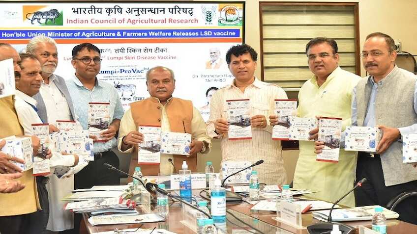 पशुपालकों के लिए बड़ी खबर!  अब लम्पी स्किन रोग से मवेशियों की नहीं होगी मौत, सरकार ने लॉन्च की स्वदेशी वैक्सीन