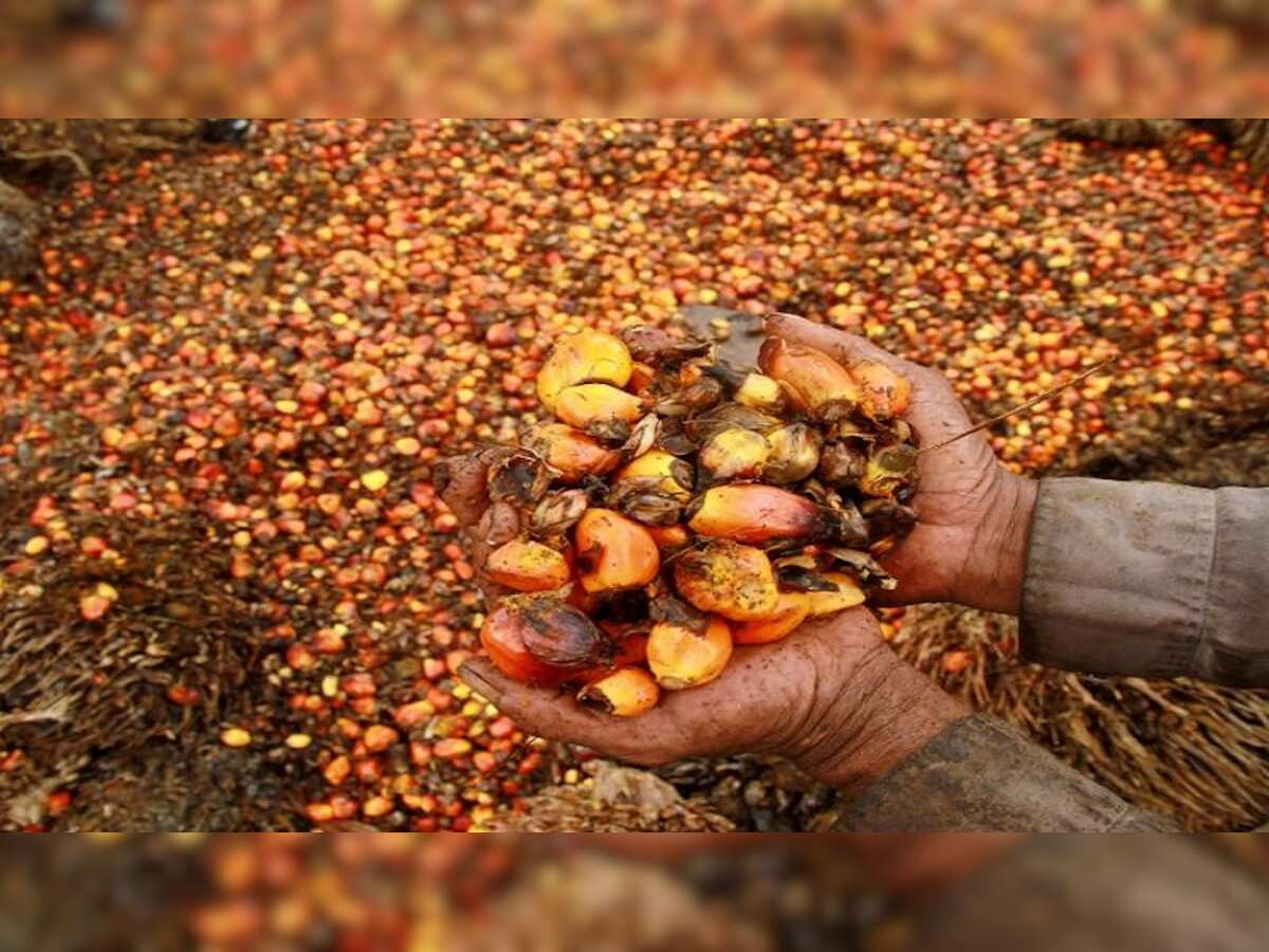 पाम तेल की खेती के लिए गोदरेज एग्रोवेट ने इन तीन राज्यों के साथ किया
