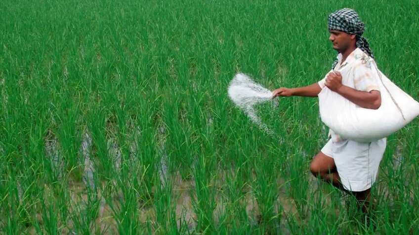 One Nation One Fertilizer: किसानों के लिए खुशखबरी, अक्टूबर से 'भारत' नाम से बिकेंगे सभी खाद, अब नहीं होगी यूरिया की किल्लत