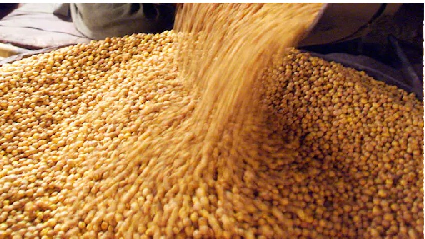 दलहन, चना पर कैबिनेट का फैसला! राज्यों को 8 रुपये किलो डिस्काउंट पर 15 लाख टन चना दाल देगी सरकार