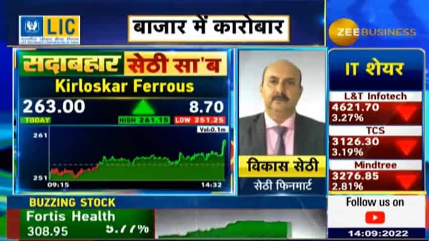 Expert Stocks: विकास सेठी के ये दो शेयर करें पोर्टफोलियो में शामिल, मिलेगा दमदार रिटर्न