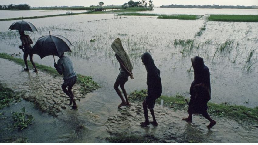 जल्द पड़ेगी महंगाई की मार! कमजोर बारिश का थाली पर असर संभव, महंगे हो सकते हैं ये अनाज