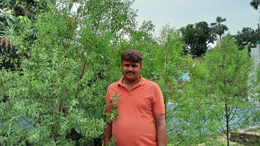 White Sandalwood: बंजर जमीन पर भी सफेद चंदन के पौधे लगाकर कमा सकते हैं 50 लाख रुपये, जानिए खेती से जुड़ी कुछ जरूरी बातें