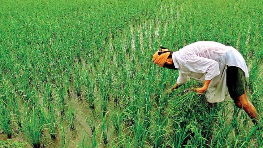PM Kisan Samman Nidhi Scheme: 13वीं किस्त का कर रहे हैं इंतजार, तो निपटा लें ये काम- वरना खाते में नहीं आएंगे ₹2000