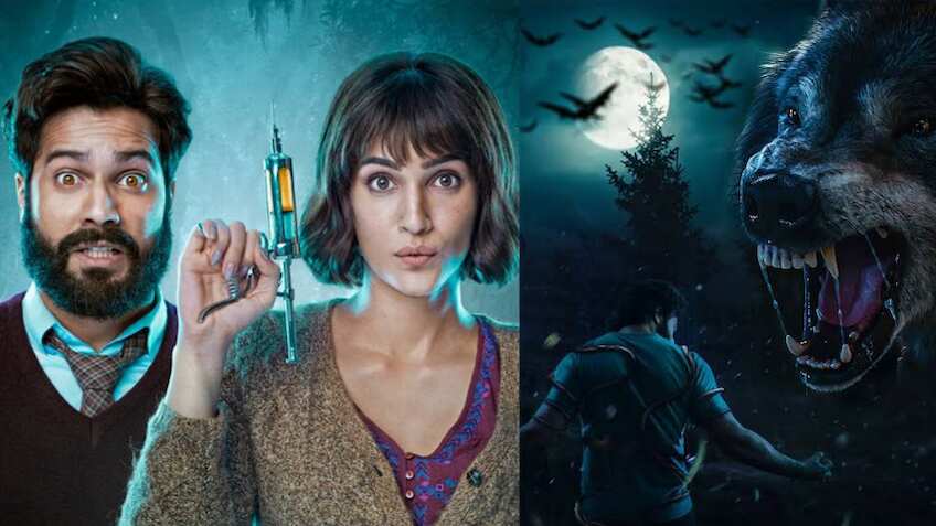 Bhediya Box Office Collection: वरुण धवन स्टारर 'भेड़िया' की कमाई का गिरा ग्राफ, छठे दिन सिर्फ इतना किया कलेक्शन