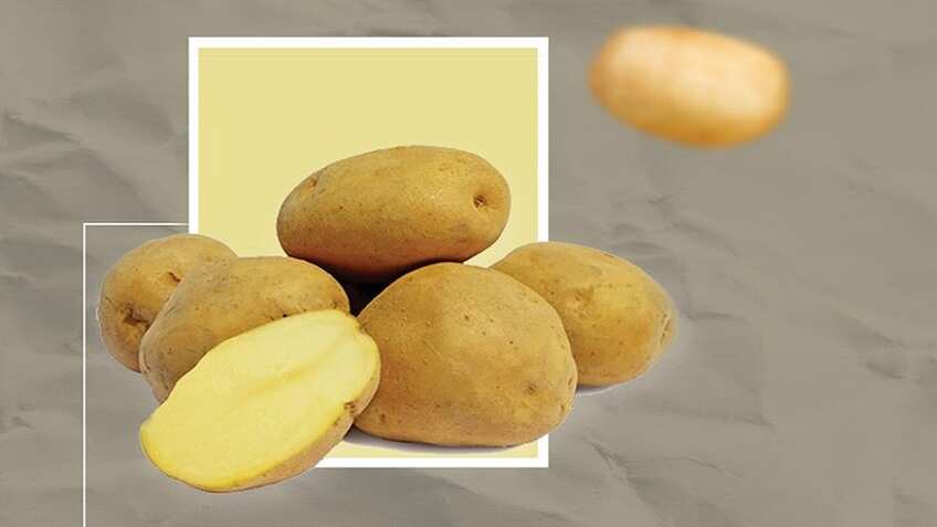 आलू की ये किस्म किसानों को कराएगी तगड़ी कमाई, कम समय में होगी बंपर पैदावार