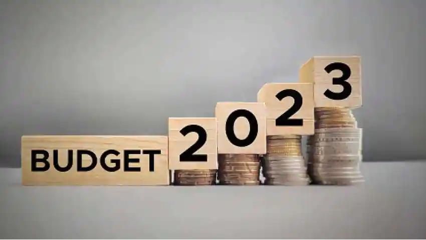 Budget 2023: वित्त मंत्री के बजट स्पीच में आने वाले इन शब्दों का मतलब जान लें, बजट को समझने में नहीं होगी कोई परेशानी