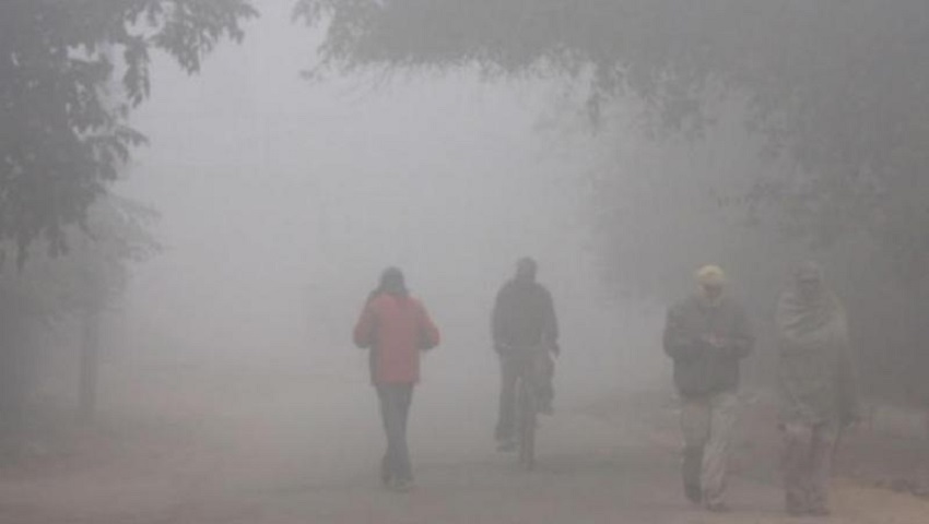 Weather Updates: शीतलहर देश के इन हिस्सों में 19 जनवरी से हो जाएगी खत्म, मैदानी इलाकों में अगले दो दिन और ज्यादा ठंड होगी