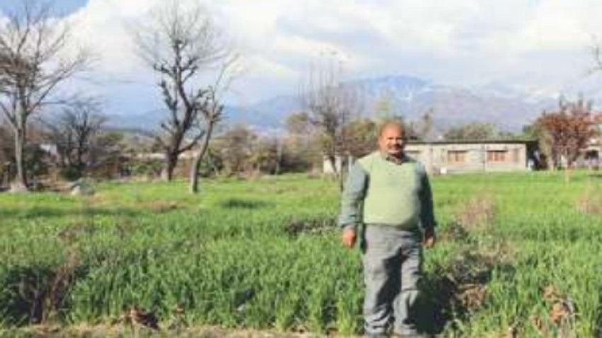 रिटायरमेंट के बाद फौजी बन गया किसान, ट्रेनिंग ले शुरू की खेती, अब कमा रहा मोटा मुनाफा, जानिए कैसे