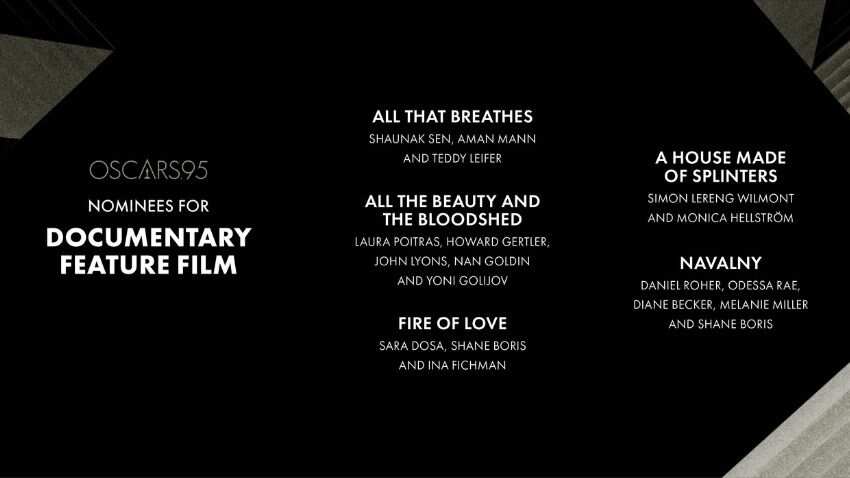The nominations for Documentary Feature 