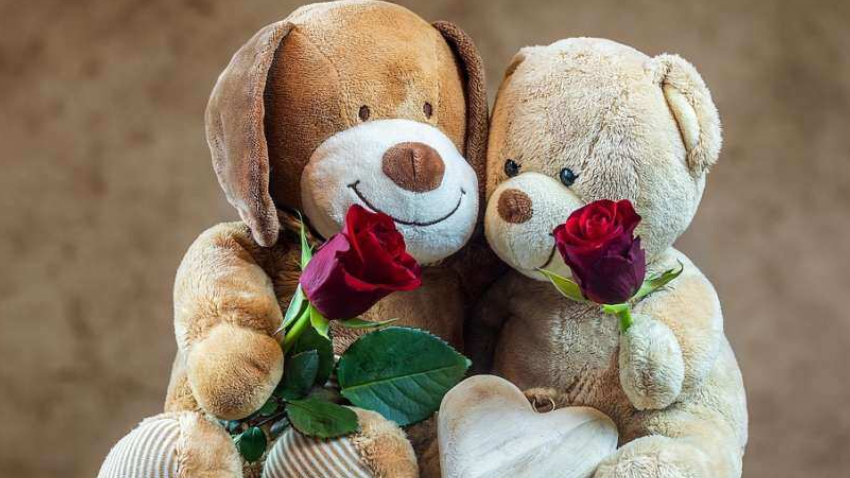 Valentine's Week Teddy Day 2023: अमेरिका के ...