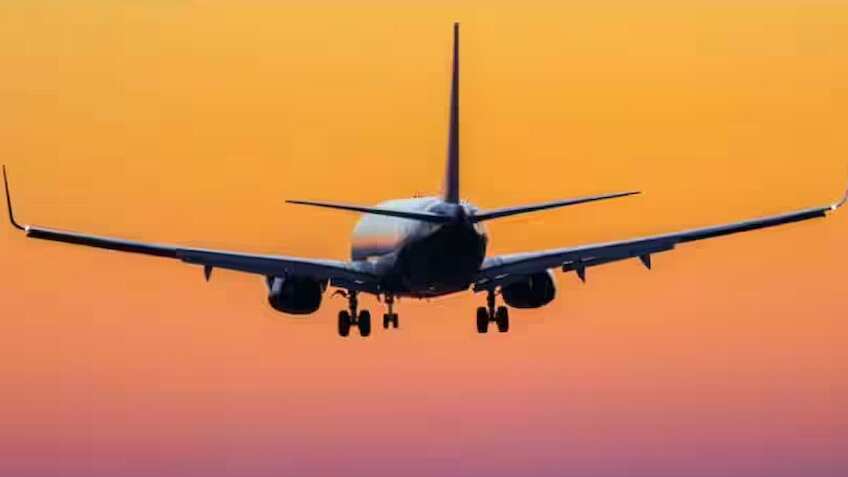 Digi Yatra ऐप में इस वजह से आई अशनीर ग्रोवर को दिक्कत, ऐसे करें अपना ऐप अपडेट