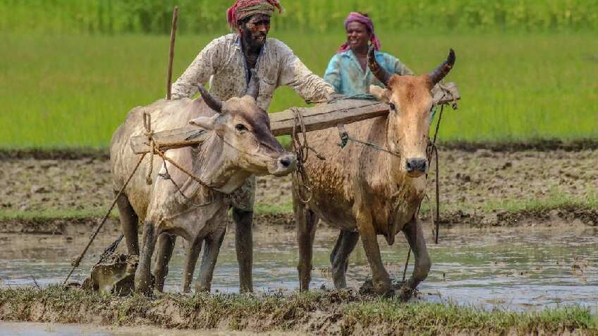 L&T फाइनेंस लिमिटेड ने लॉन्च किया वेयरहाउस रिसिप्ट फाइनेंसिंग.. किसान, व्यापारी और प्रोसेसर को मिलेगा जबरदस्त लाभ