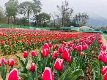 संख्या में कई गुना बढ़ोतरी की संभावना