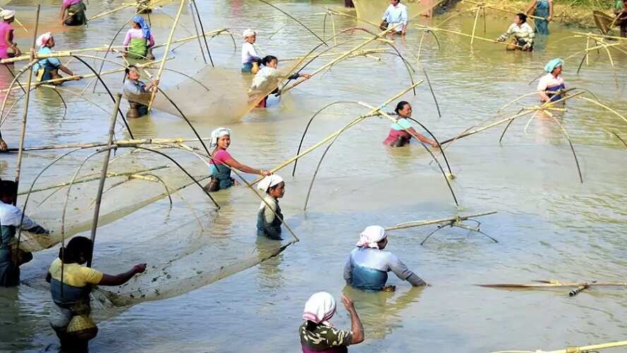 यहां दो महीने के लिए समुद्र में मछली पकड़ने पर लगा बैन, नियम तोड़ने पर होगी कड़ी कार्रवाई, जानिए पूरी डीटेल