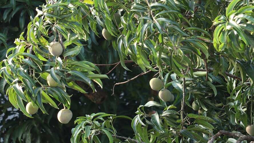 किसानों को ज्यादा सतर्क रहने की जरूरत