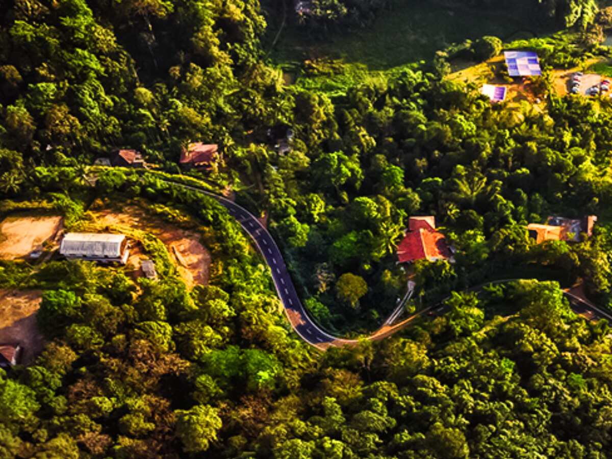 135326 coorg source karnataka tourism