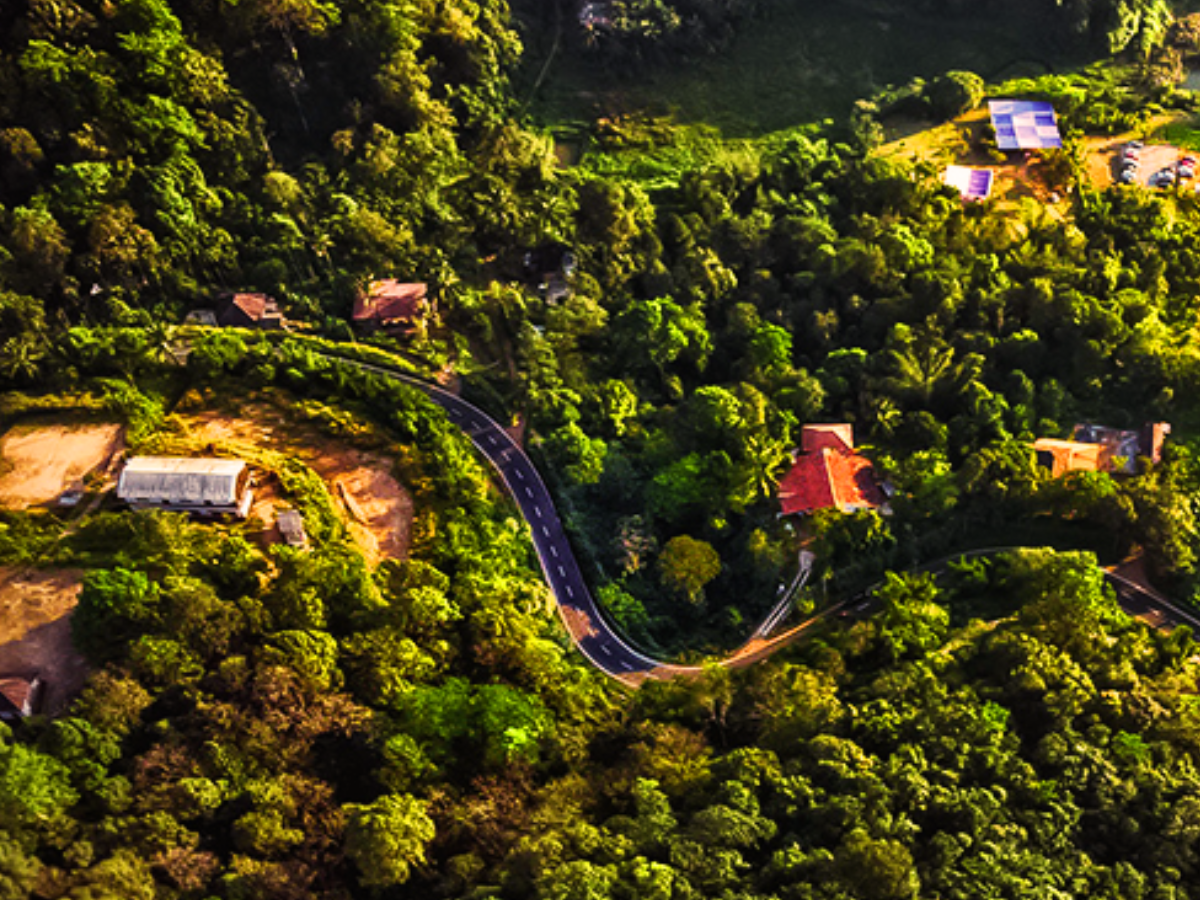 India Scotland : भारत का स्कॉटलैंड है कूर्ग हिल स्टेशन, जानिए क्या है इसके पीछे कारण और लोकेशन 5 135326 coorg source karnataka tourism