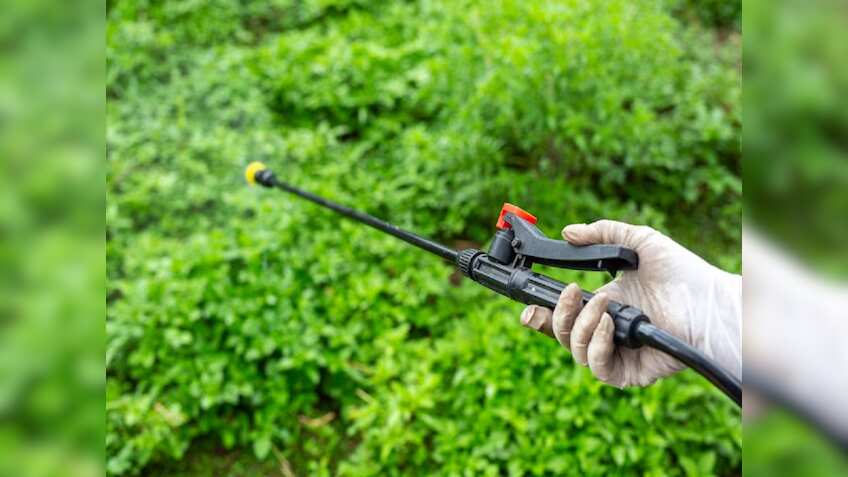 केमिकल फर्टिलाइज, पेस्टिसाइड के जहर से खेतों को बचाने के लिए अपनाएं ये तरीका, बचत के साथ बढ़ेगा मुनाफा