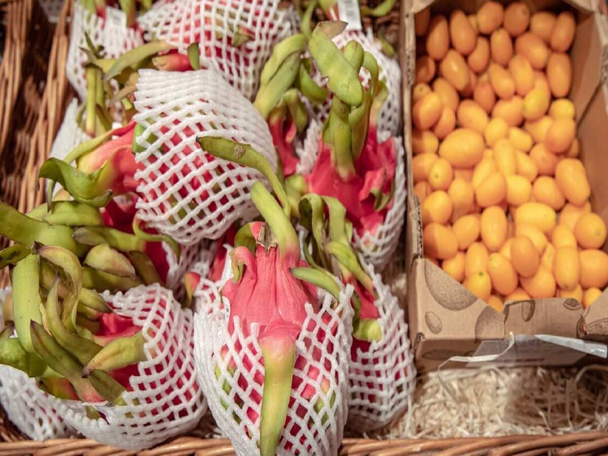 agri business idea bihar sarkar offer rs 2 lakh subsidy on pack house business of fruits and vegetables