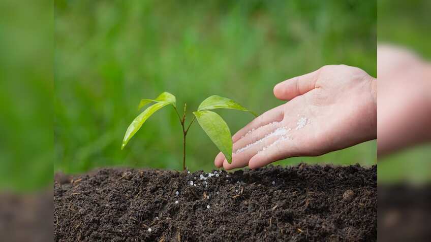 Fertiliser Diversion: फर्टिलाइजर कंपनियों पर चला सरकार का डंडा, 112 यूनिट्स के लाइसेंस रद्द, जानिए पूरा मामला