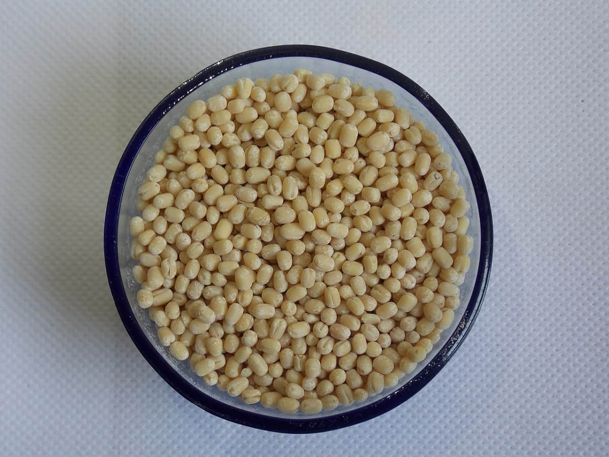 Urad Import: उड़द के उत्पादन ने बढ़ाई टेंशन, इस देश से आयात पर विचार कर रही सरकार