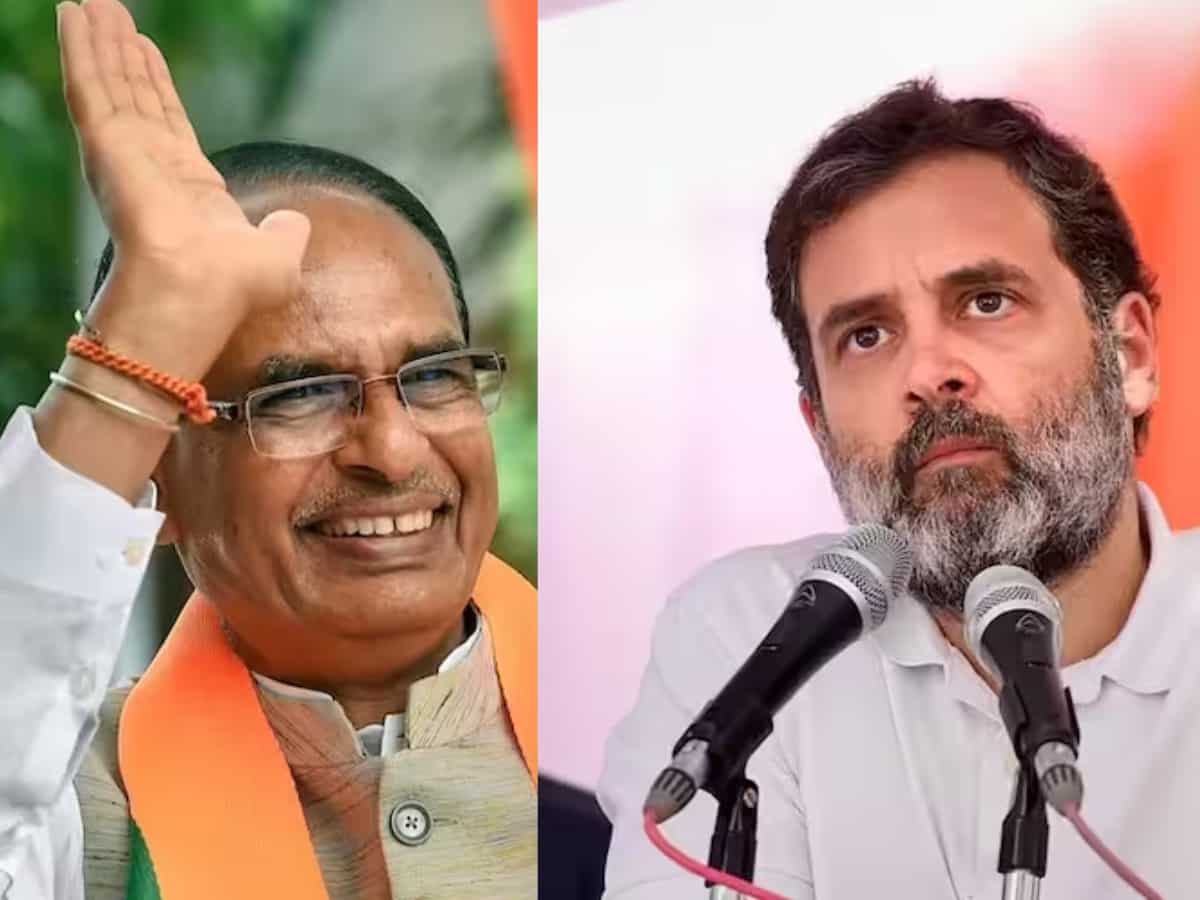 कर्नाटक जीत के बाद राहुल गांधी का बड़ा दावा, कहा- MP में जीतेंगे इतनी सीटें, शिवराज बोले- 'Unko khayali pulao...